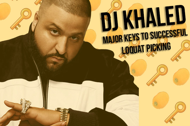 Dj Khaled's 6 Major Keys to Loquat Picking